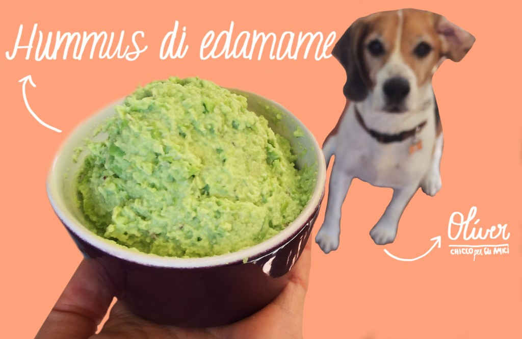 hummus-di-edamame