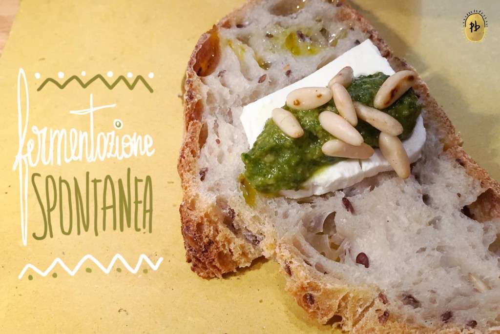 pane-e-tempesta-forno_pane-fermentazione-spontanea