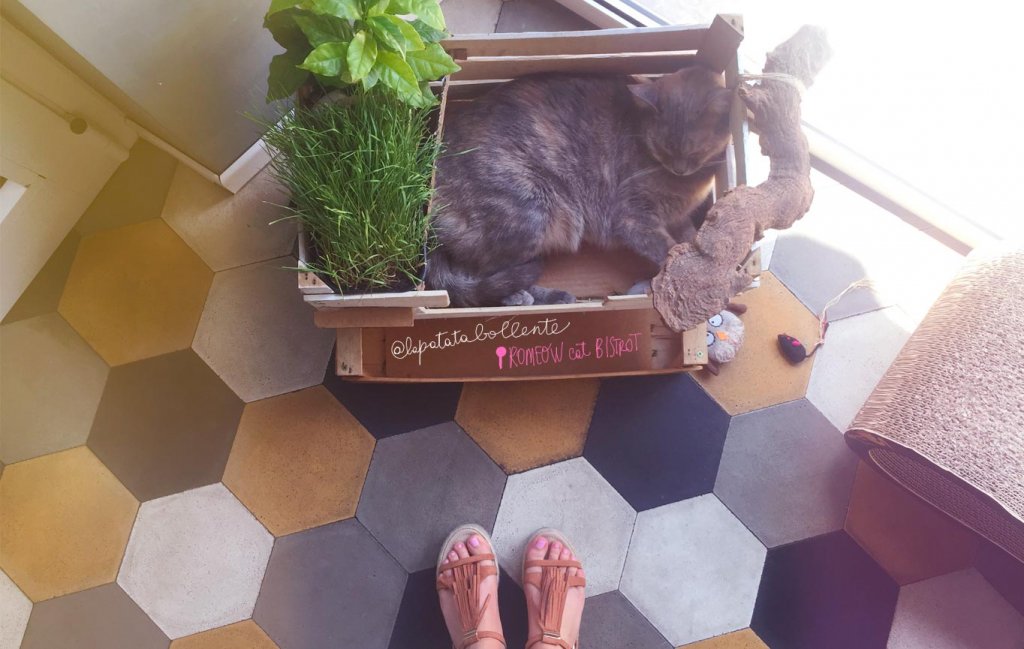 Romeow cat bistrot, ristorante vegano a Roma